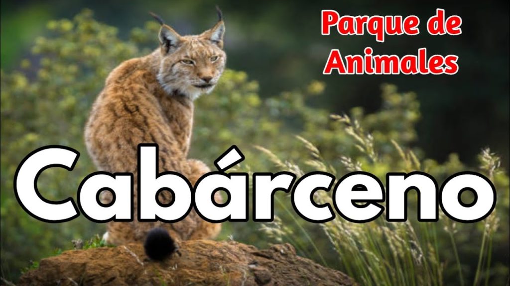 Cómo Llegar a Cabárceno desde Cangas de Onís: Consejos y Recomendaciones